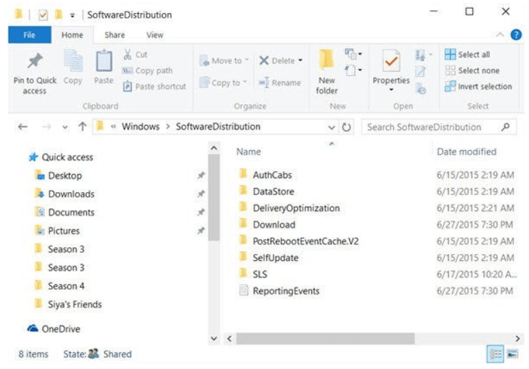 Go to Windows Software Distribution Directory Step 11 go to SoftwareDistribution directory