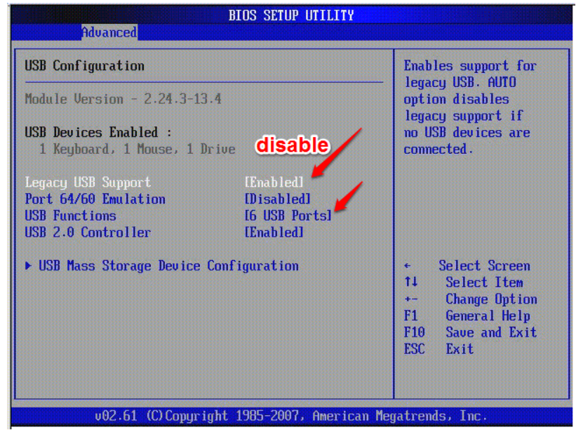 Disable or Enable Usb Ports in BIOS