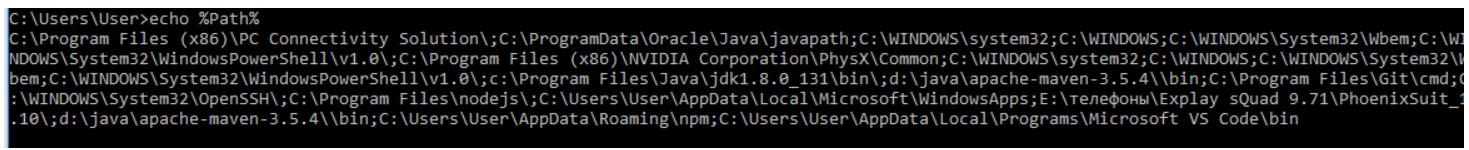 print the value of an environment variable using echo